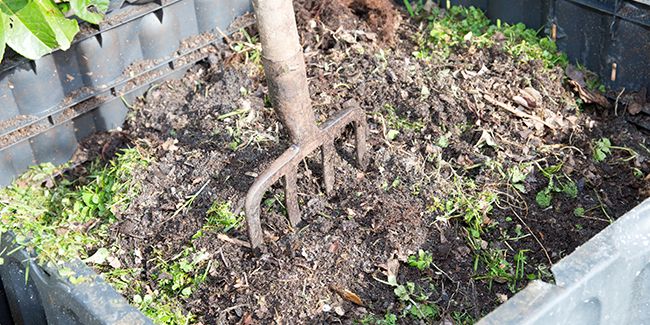 Les secrets d'un compost réussi : évitez les pièges courants
