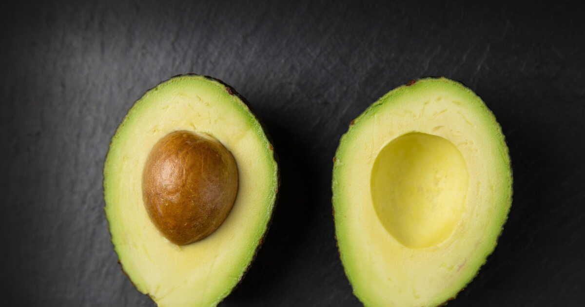 Comment faire germer un noyau d’avocat avec succès