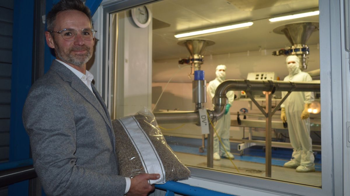 Amycel, la pépite des semences de champignons exportée du Loir-et-Cher