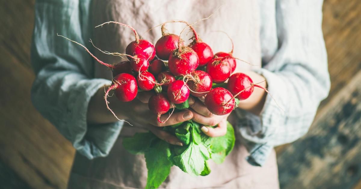 Printemps à la table : les délices de saison à savourer