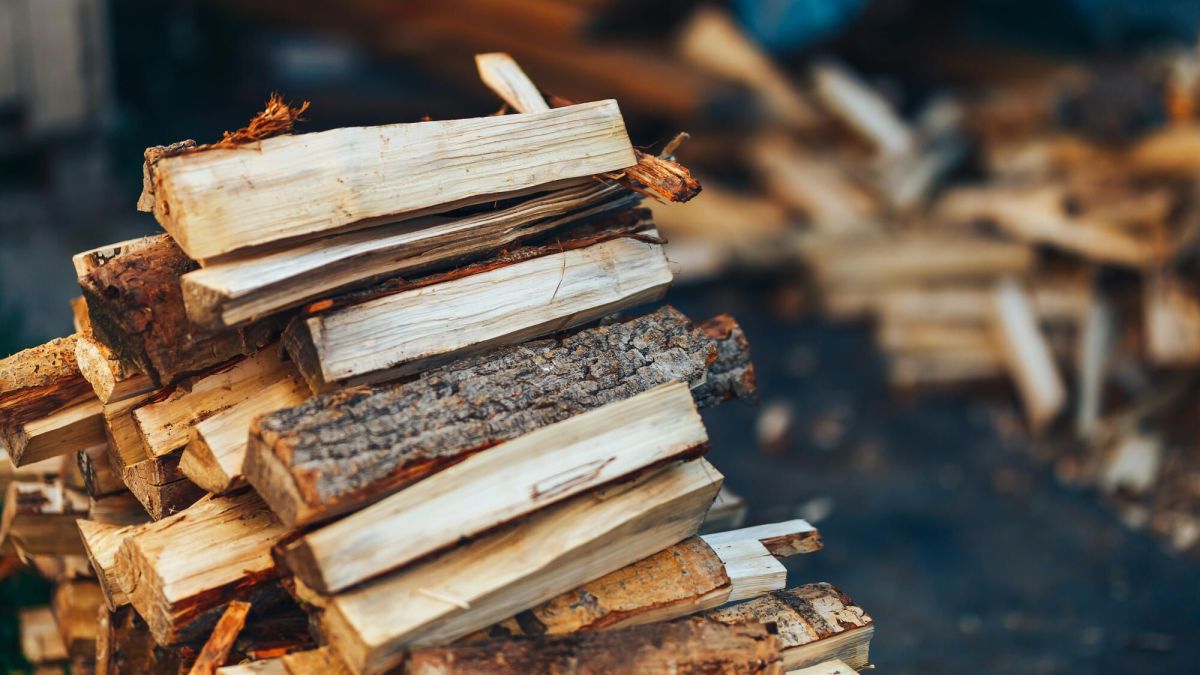 Comment les prix du bois de chauffage varient selon les régions
