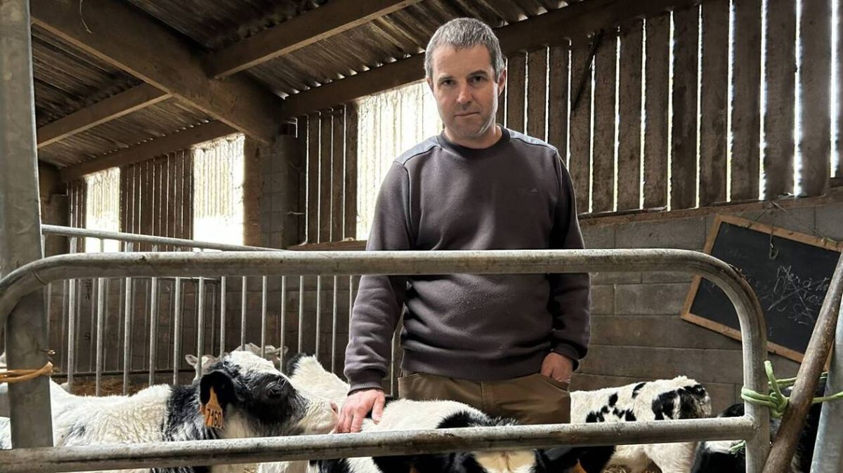 l'éleveur normand qui réinvente le soin aux vaches avec des méthodes naturelles