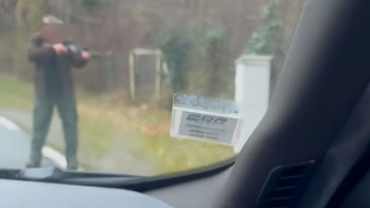 Un chasseur tire sur un sanglier : une scène choquante filmée par des automobilistes