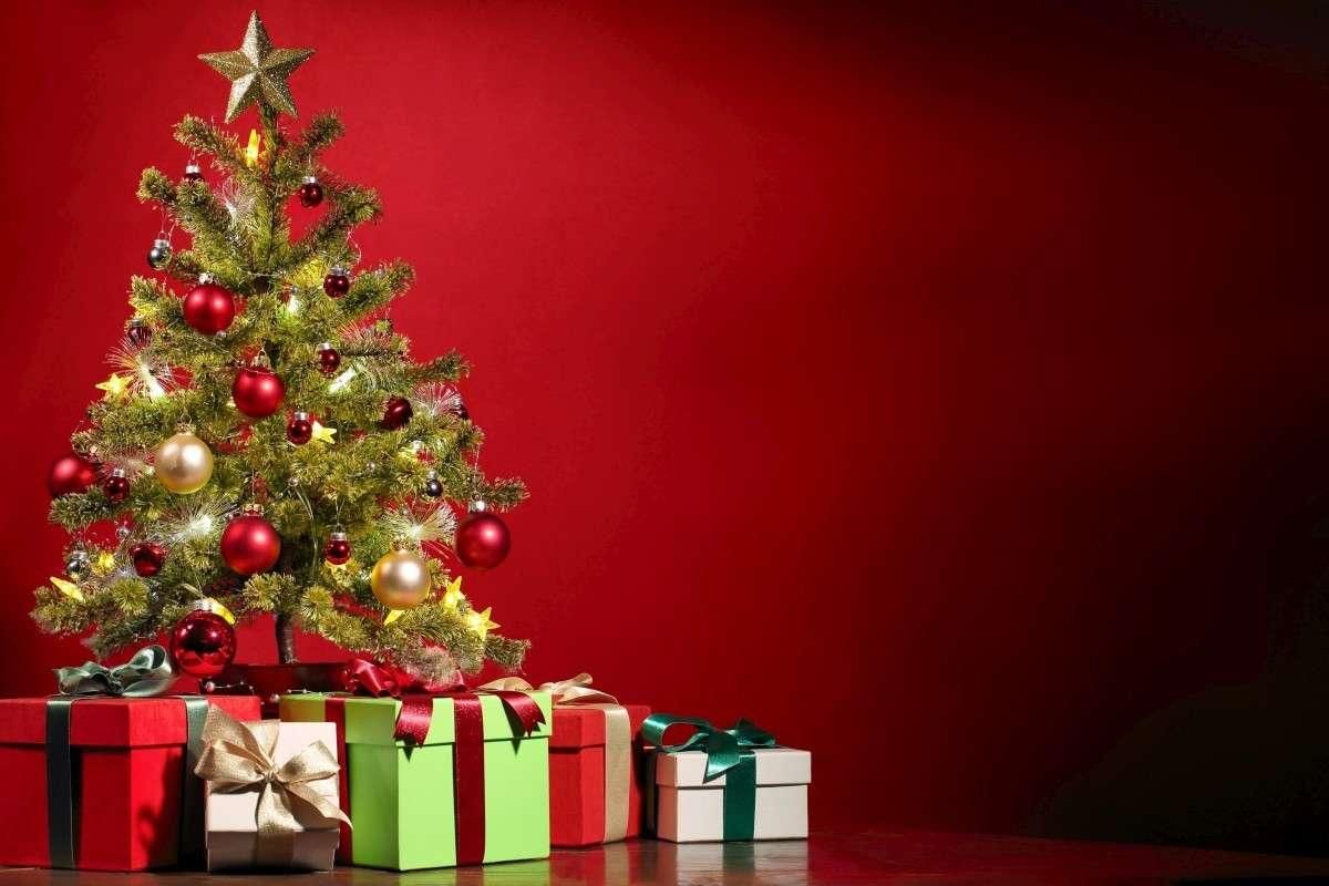 choisir son sapin de noël : naturel, artificiel ou alternatif ?