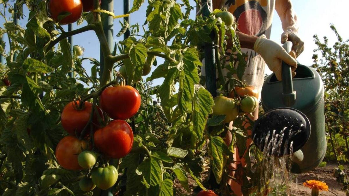 Lutte contre les pesticides : des enquêtes ouvertes en Maine-et-Loire