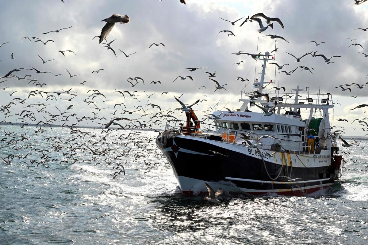 Un accord historique sur la pêche entre l'UE et le Royaume-Uni pour 2026