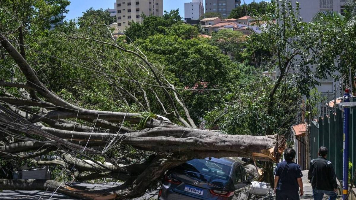 São Paulo en crise : plus d'un million d'habitants privés d'électricité après la tempête
