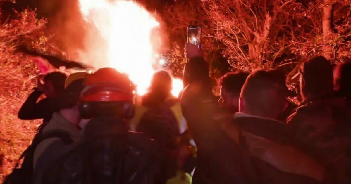 Violence en Ariège : les agriculteurs s'opposent à l'abattage de leurs vaches