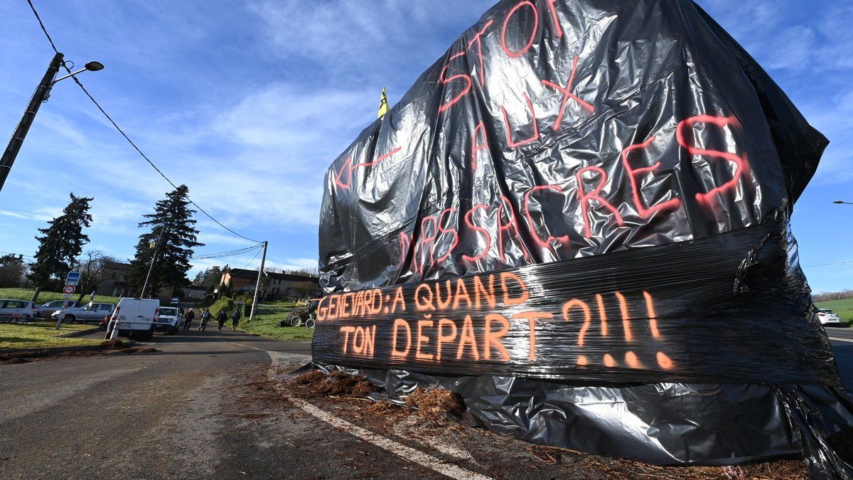 La dermatose nodulaire contagieuse : un cri d'alerte du secteur agricole