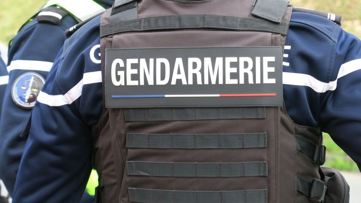 Tentative d'enlèvement alarmante : une collégienne échappe à un automobiliste dans les Yvelines