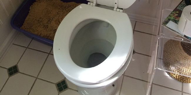 Découvrez le sanibroyeur : la solution pratique pour des WC où vous le voulez !