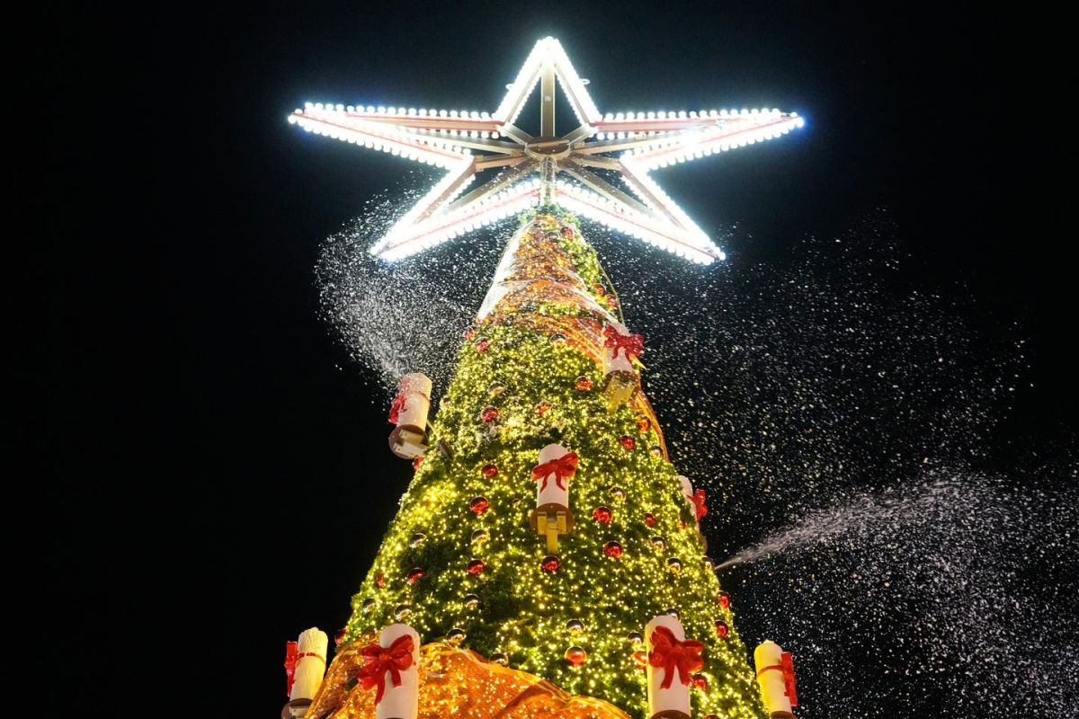 Un attentat sur un marché de Noël en Allemagne déjoué : cinq arrestations