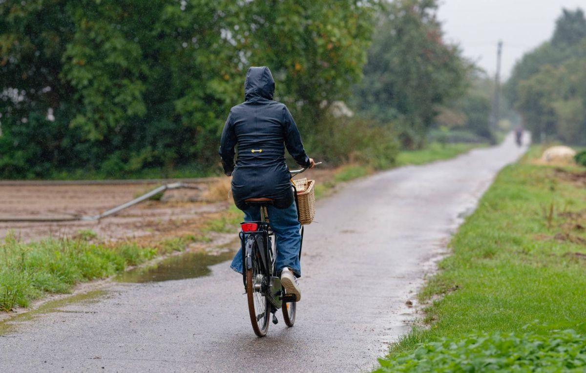 La vie rurale : un quotidien plus lourd pour les femmes ?