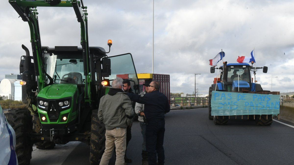 Les agriculteurs en colère bloquent le port de Sète pour défendre le bétail