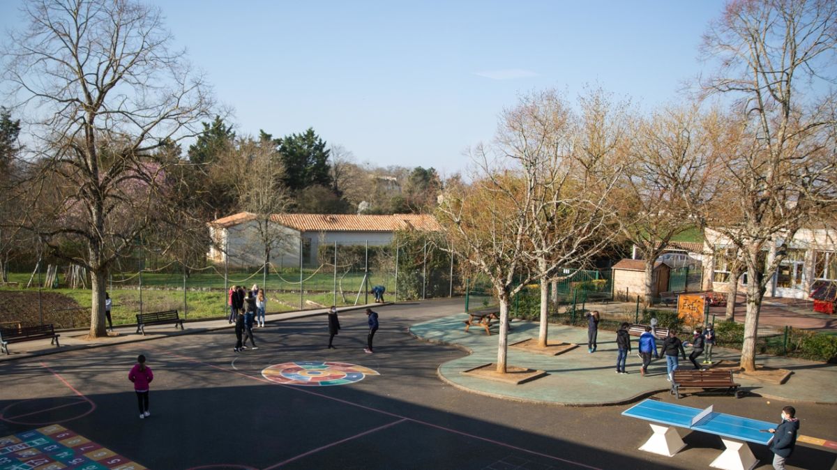 Plus de 1,7 million d’élèves exposés aux pesticides : une réalité alarmante