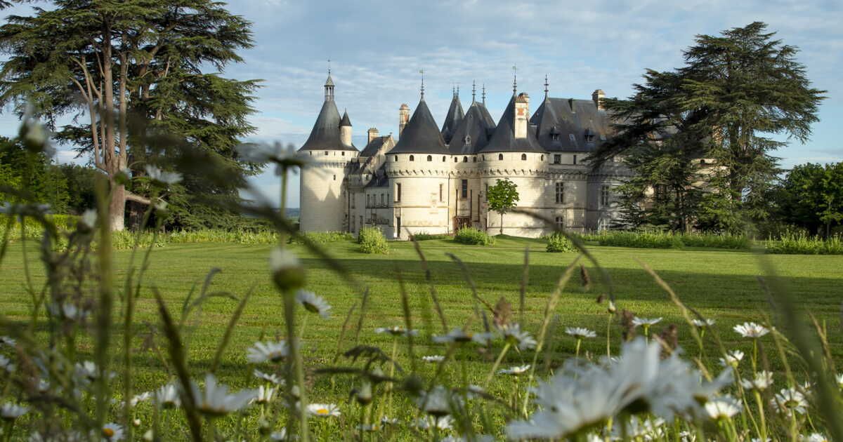 Transformez votre jardin en un havre de paix à la Chaumont-sur-Loire