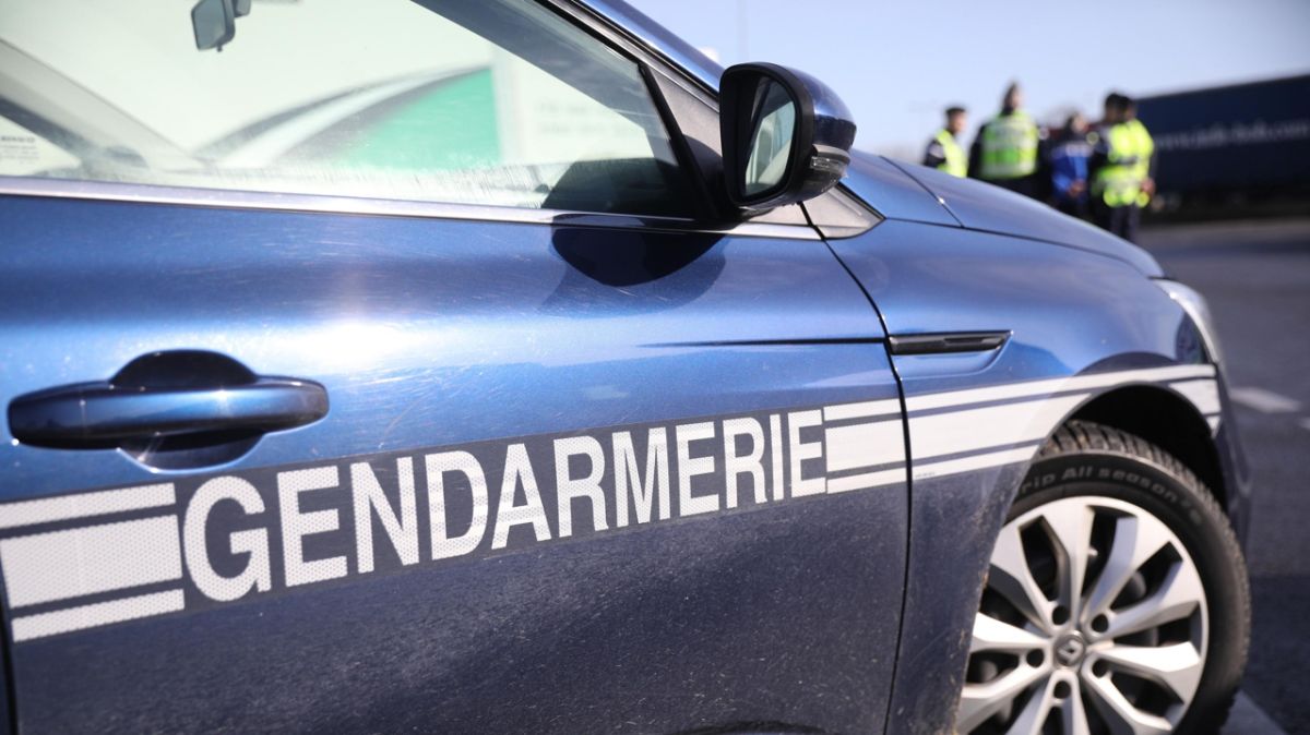 Un conducteur refuse d'obéir et blesse un gendarme à Gièvres