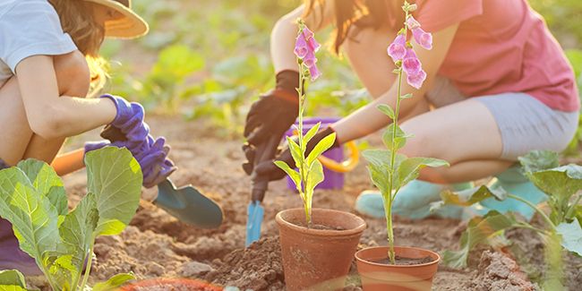 Apprendre le jardinage aux enfants : une aventure éducative