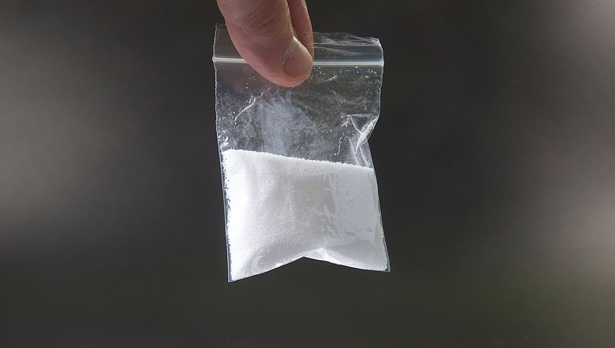 Cocaïne : près de 100 kilos saisis dans les Pyrénées-Orientales en 2023