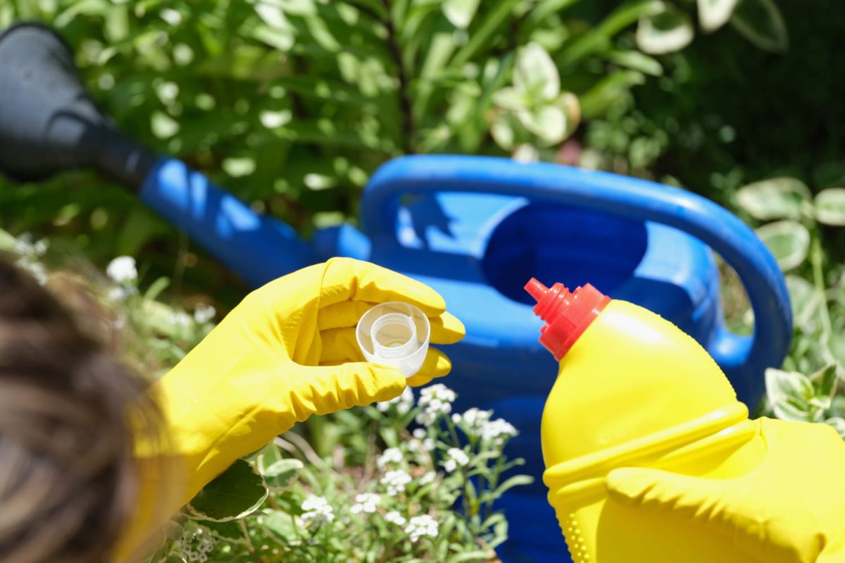 attention aux mélanges : dangers cachés dans votre jardin