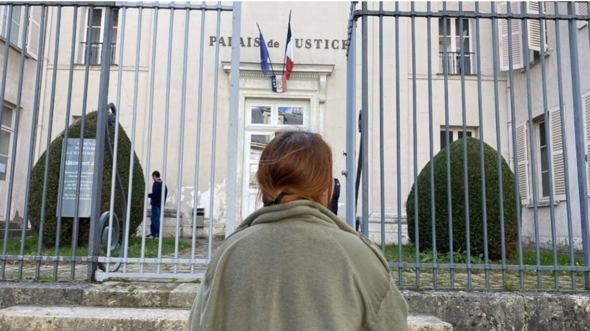 Un directeur de zoo condamné pour harcèlement moral : un tournant pour la protection des employés