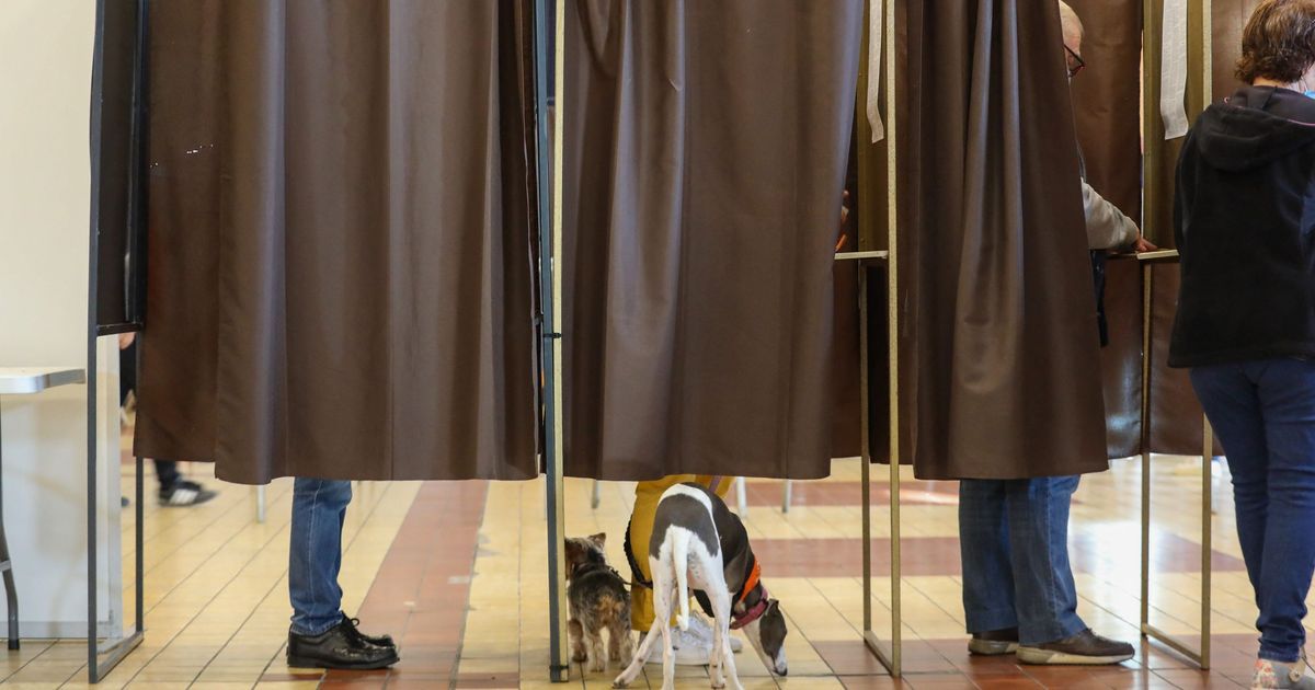 Municipales 2026 : un premier tour décisif pour 303 communes du Loiret