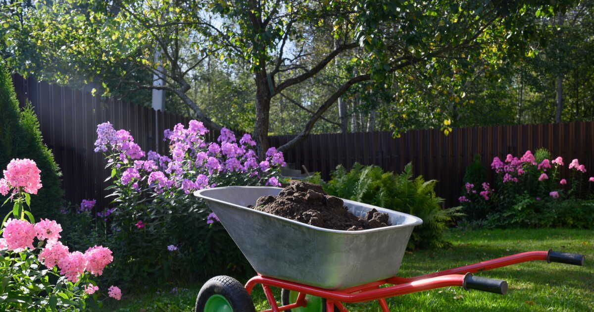 Gazon : 4 alternatives pour décorer son jardin