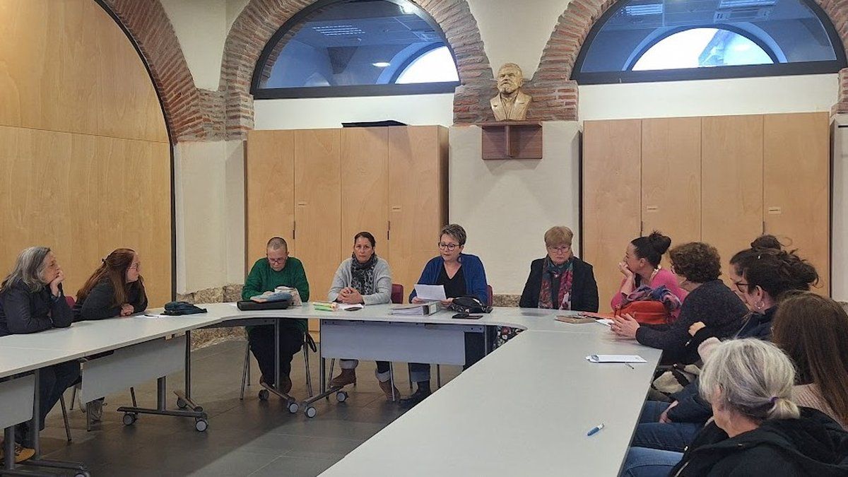 Cazères : les Chats Libres, une mission de sauvetage essentielle