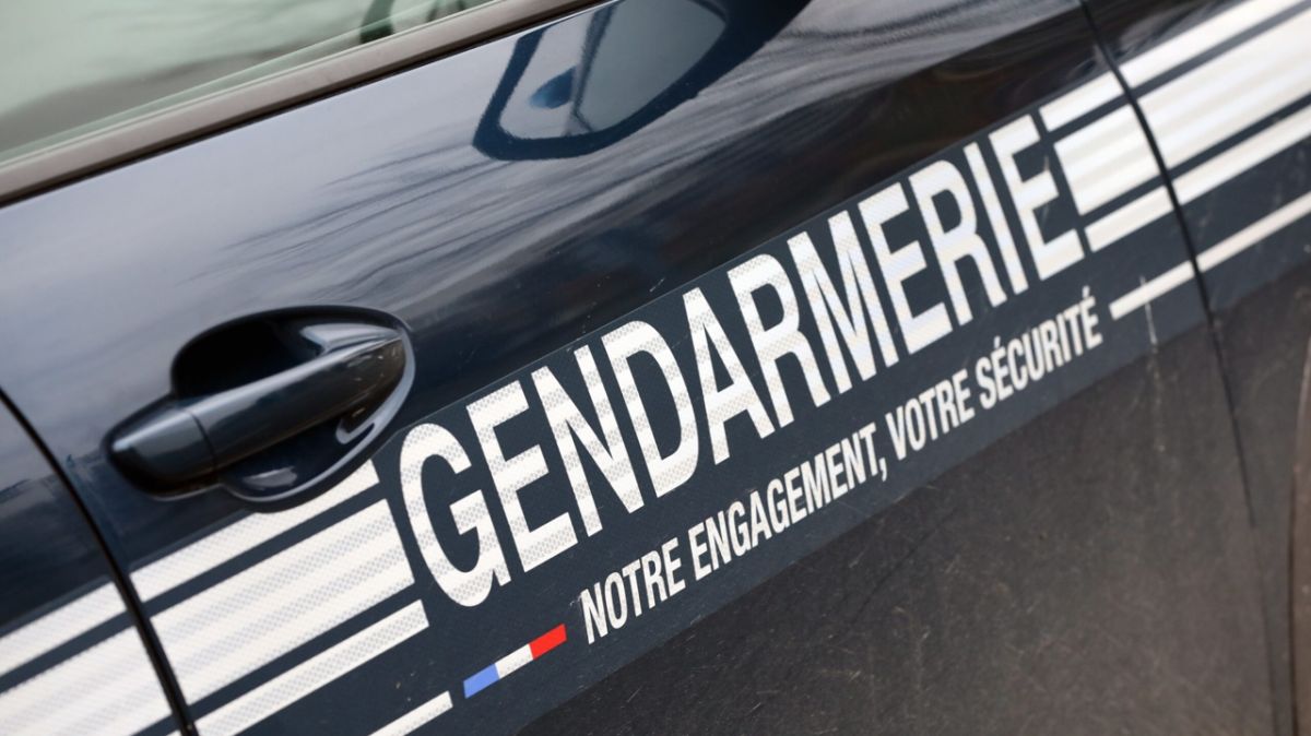 Une série de vols secoue Romorantin : cinq suspects arrêtés