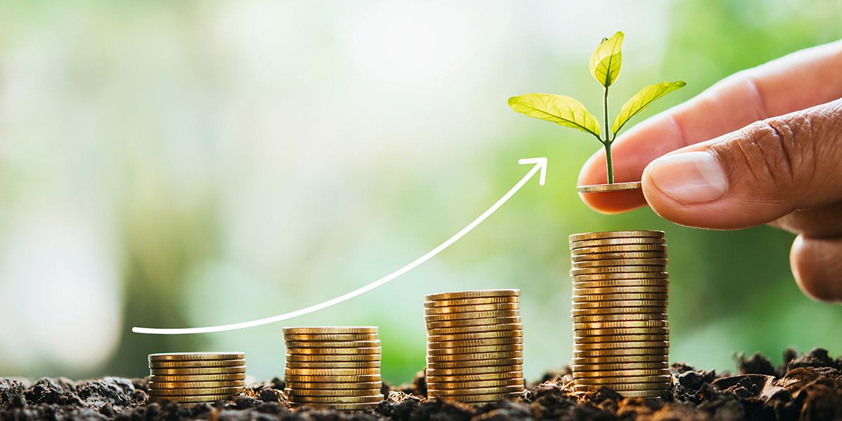 Investir 50 000 euros en 2025 : les meilleures options à considérer