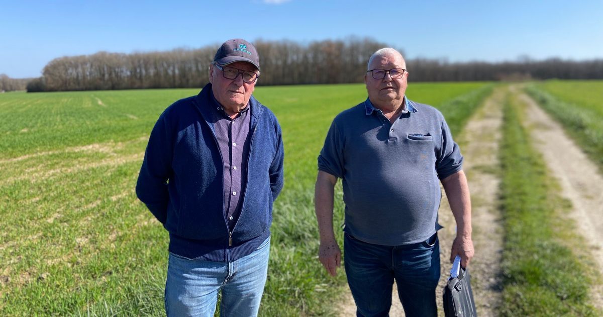 Préserver nos chemins ruraux : un héritage vivant dans l'Indre et le Cher