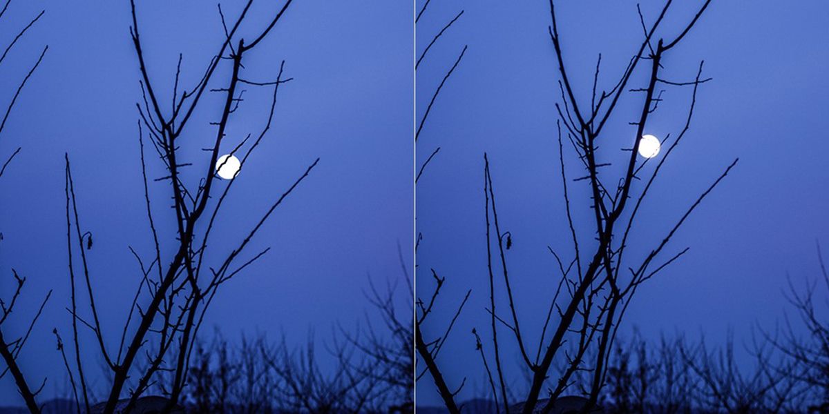 Que faire au jardin lorsque la lune est montante ?