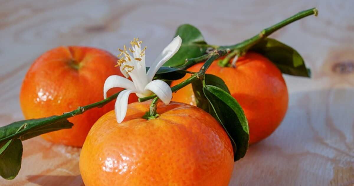 Choisir la clémentine parfaite : pépins ou pas, feuilles à l'appui ?