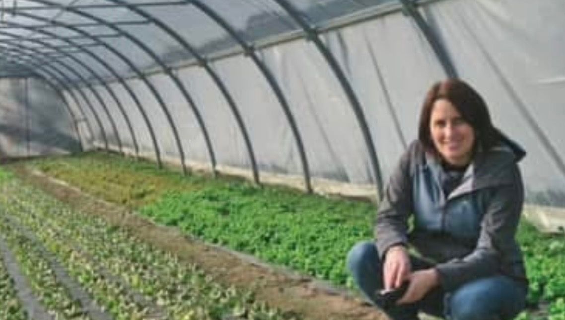 À Lyas, idéal jardin : des légumes bio pour tous