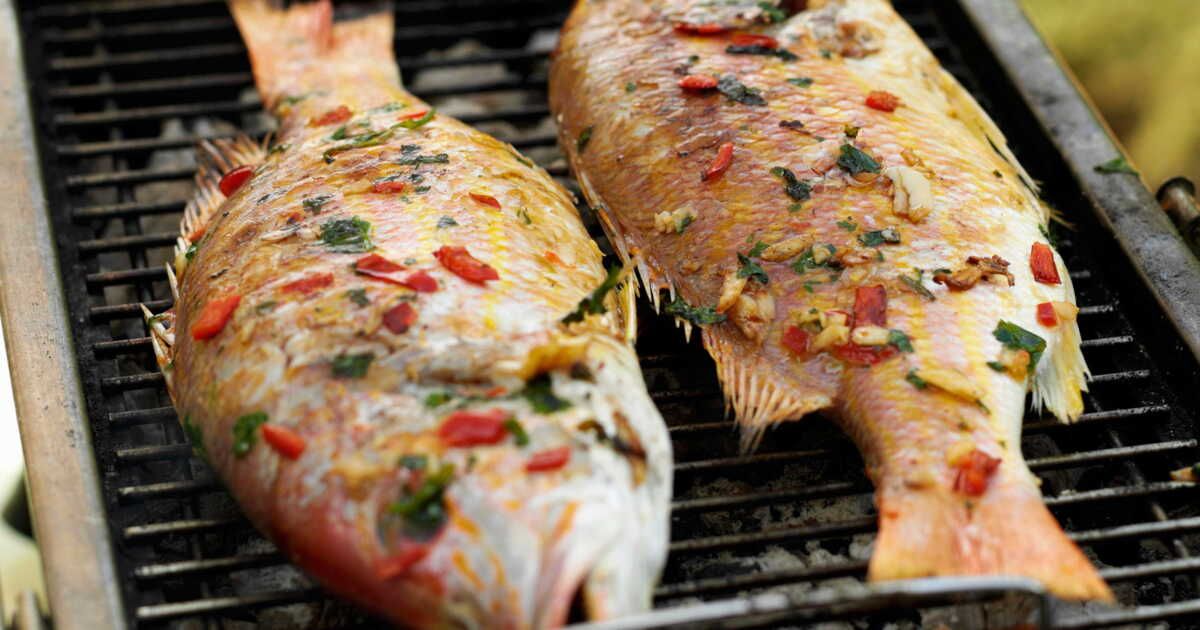 Une explosion de saveurs : le vivaneau au fenouil et piment mi-fort