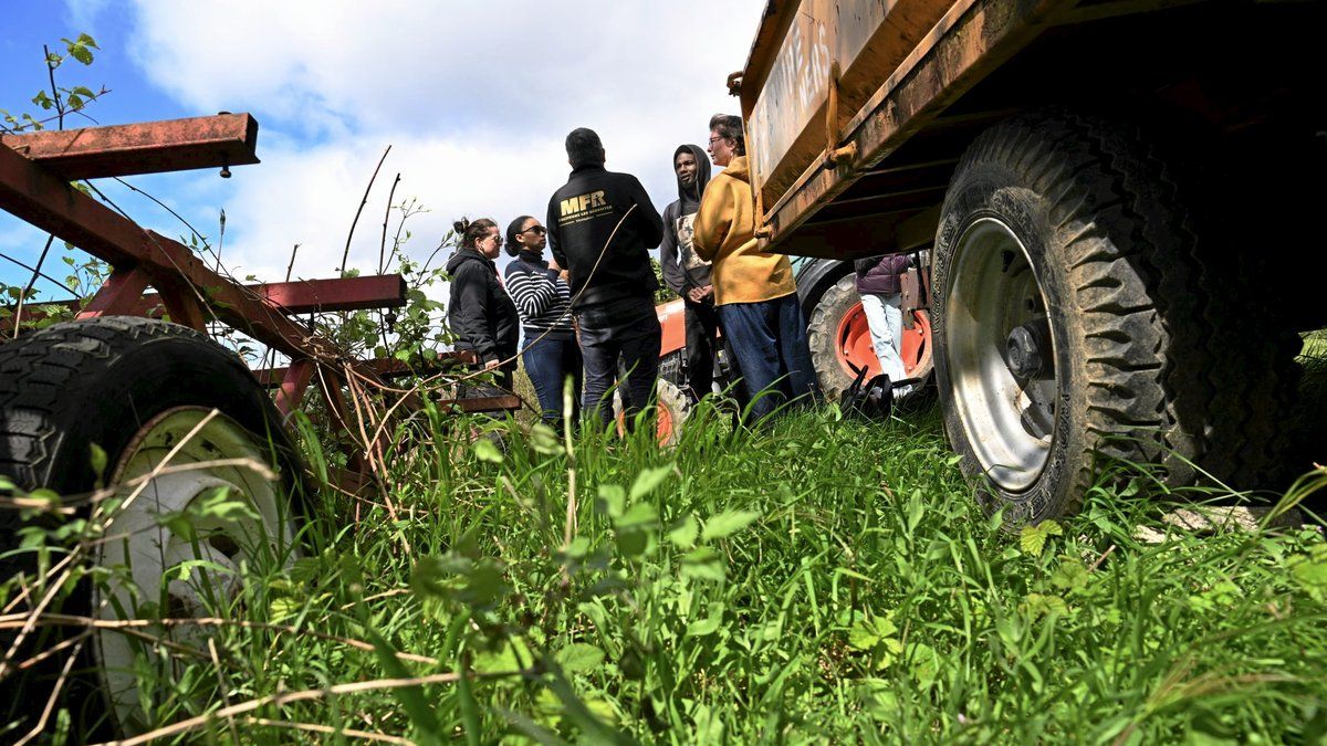 Un escape game innovant pour explorer l'agriculture en s'amusant