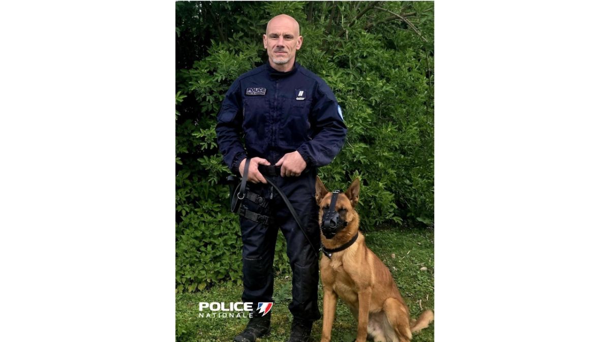 Un jeune malinois au passé difficile prend son envol avec la police d’Indre-et-Loire