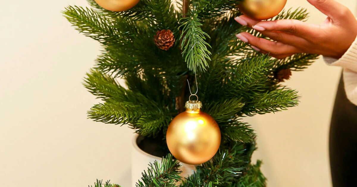 Peut-on replanter son sapin de Noël en pot dans le jardin ?