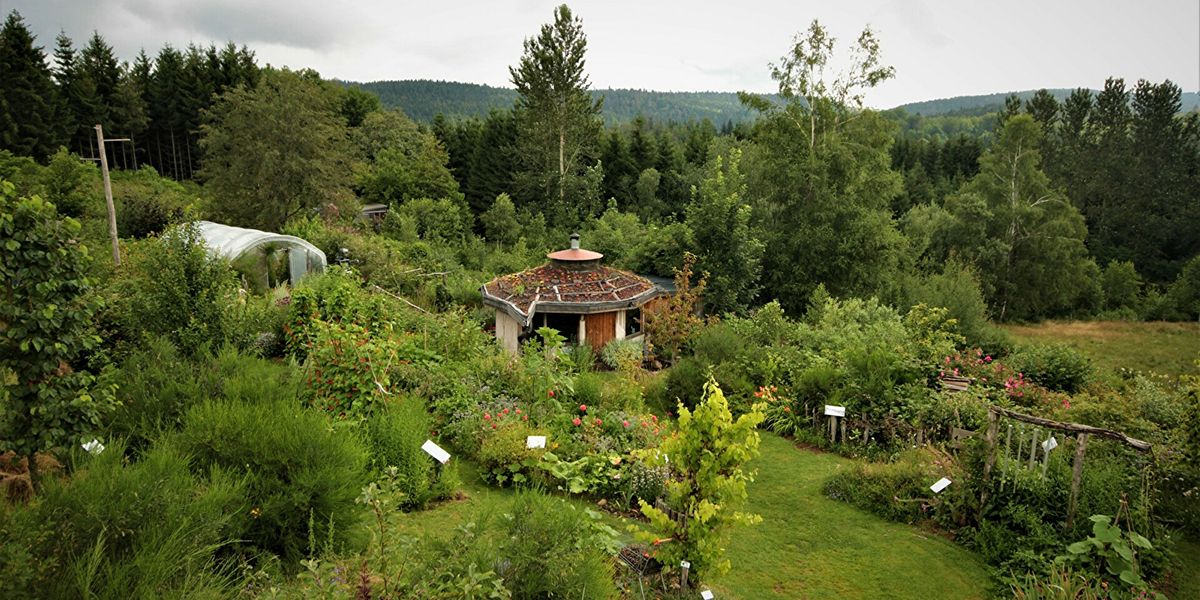 Plongez dans le jardin-forêt Une Figue dans le Poirier