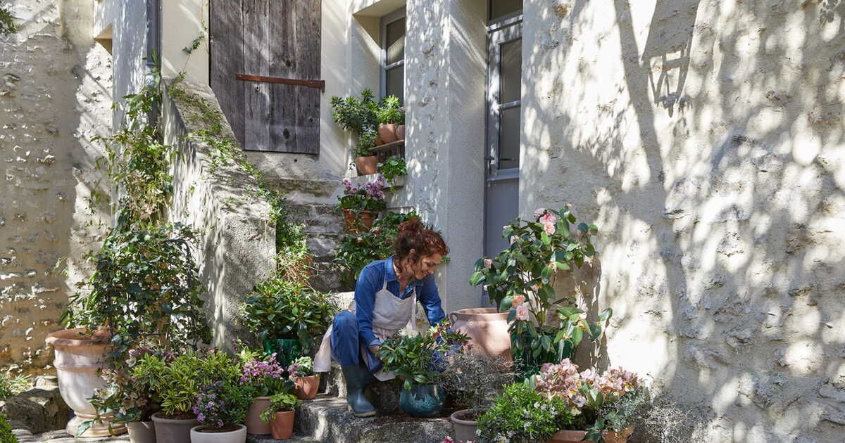 Préservez votre jardin : astuces contre champignons et nuisibles