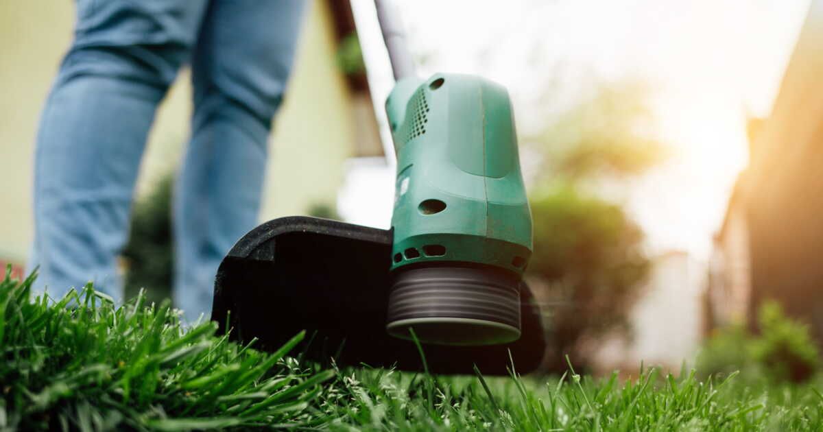 les secrets d’un jardin parfait : nos lectrices évaluent 4 coupe-bordures incontournables