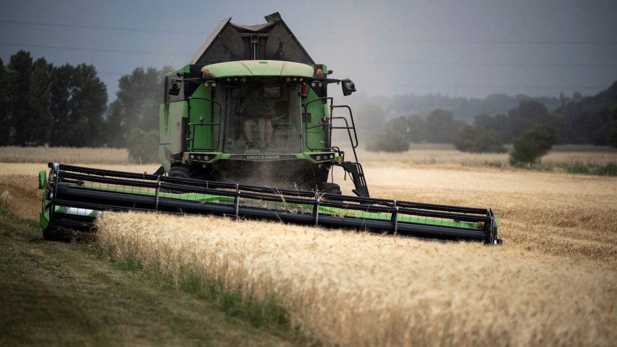 Une loi d'urgence pour revitaliser l'agriculture française en souffrance