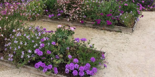 Choisir les bordures de jardin parfaites pour un extérieur stylé