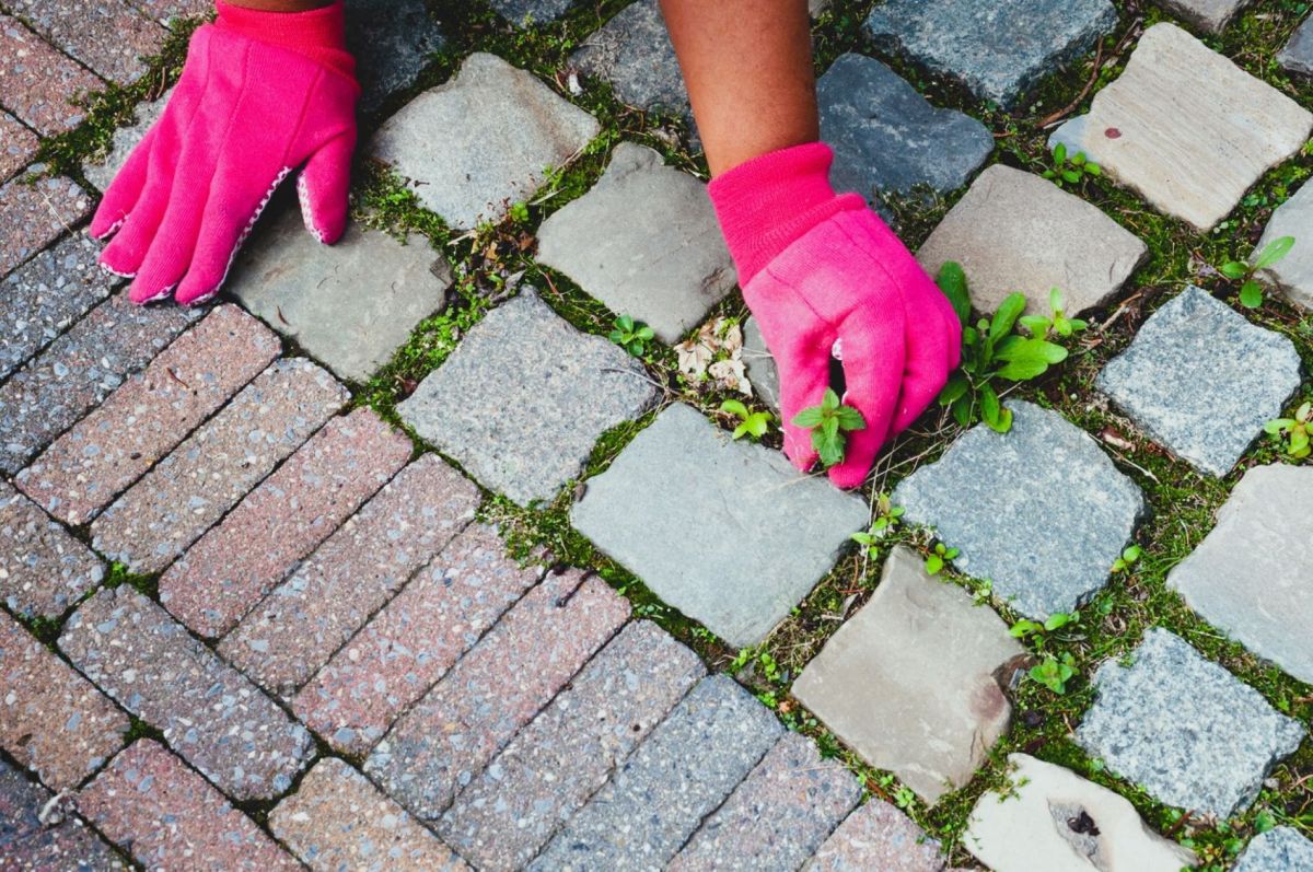 L'astuce naturelle contre les mauvaises herbes que vous devez essayer