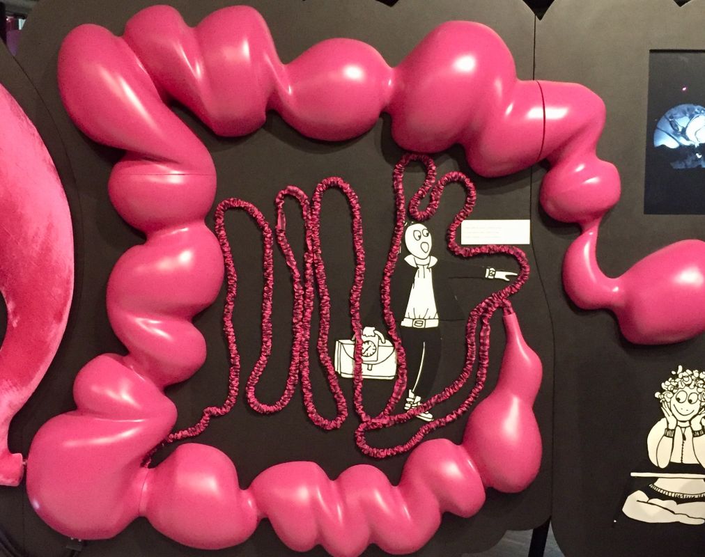 Gonflement abdominal, vertus du café et intolérances : les éclairages d'une gastro-entérologue