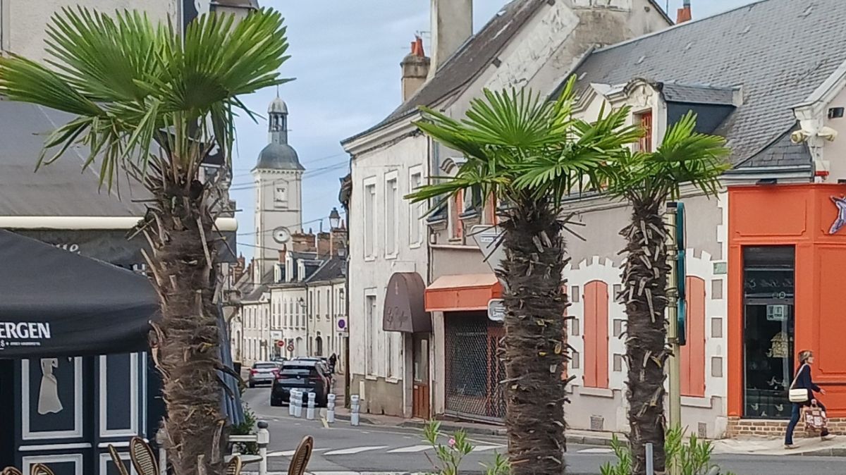 quelles tendances pour le marché immobilier de romorantin-lanthenay ?