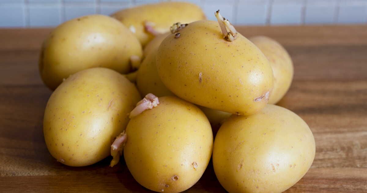 Redonnez vie à vos pommes de terre molles avec cette recette surprenante