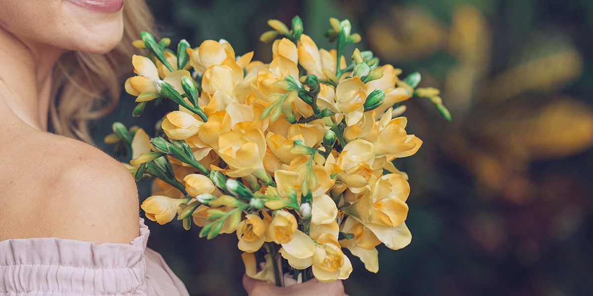 la beauté parfumée du freesia, le muguet du cap