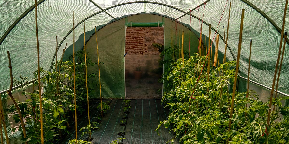la serre bioclimatique, pour une utilisation toute l'année !