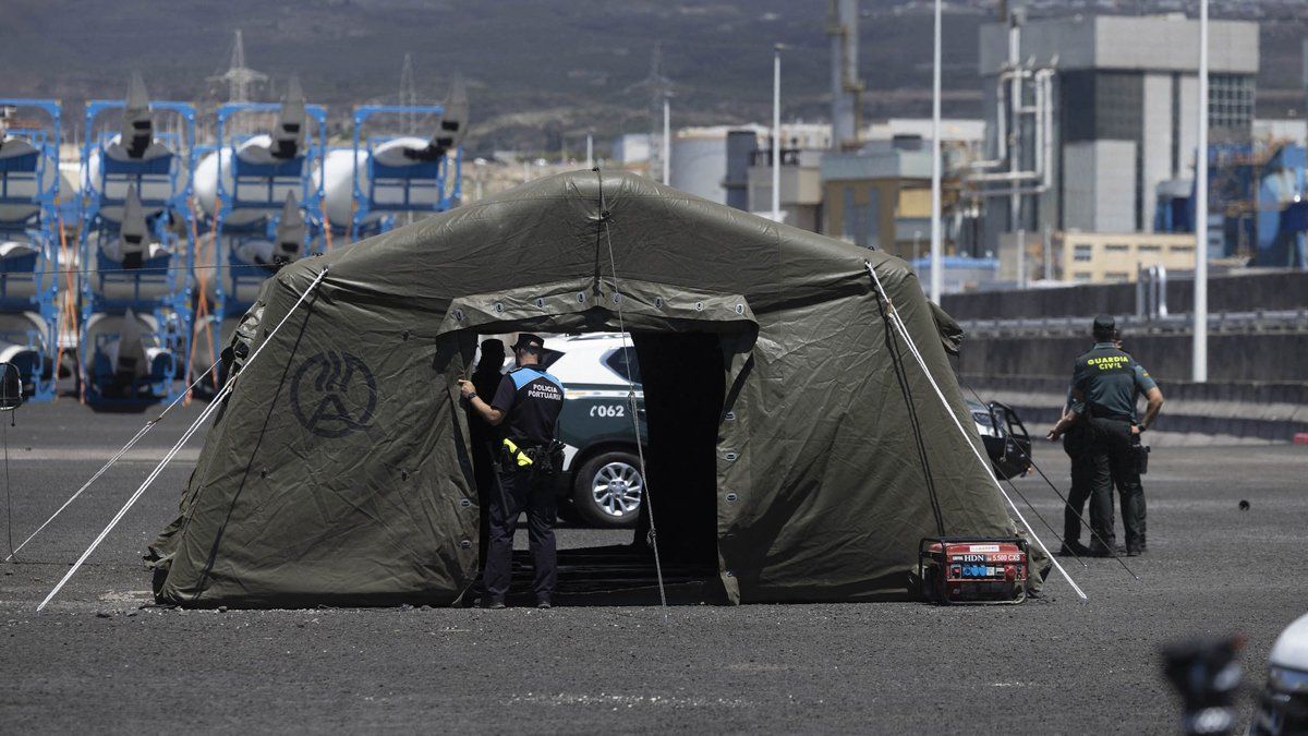 Hantavirus sur le MV Hondius : ce que risquent les passagers à Tenerife